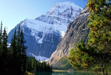 天涯神贴最新预言：哪条最让你坐不住？